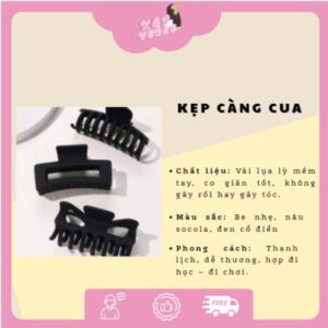 KẸP VERSE - Kẹp Càng Cua