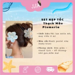 KẸP VERSE- SET KẸP TÓC  Thạch Màu Plumeria